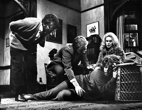 Richard Burton, George Segal, Elizabeth Taylor, Sandy Dennis - Who's Afraid of Virginia Woolf? - Photos