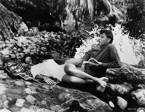 Elizabeth Taylor, Richard Burton - Písečný ptáček - Z filmu