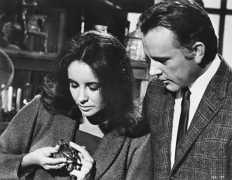 Elizabeth Taylor, Richard Burton - Písečný ptáček - Z filmu