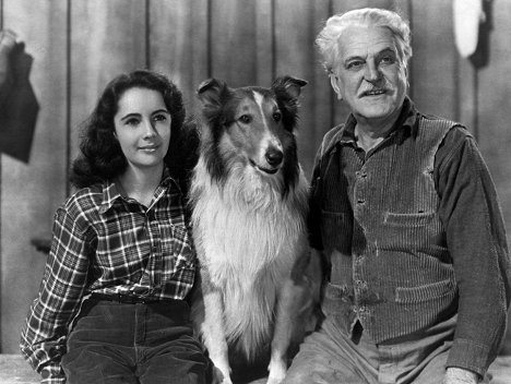 Elizabeth Taylor, Pal, Frank Morgan - Courage of Lassie - Promo