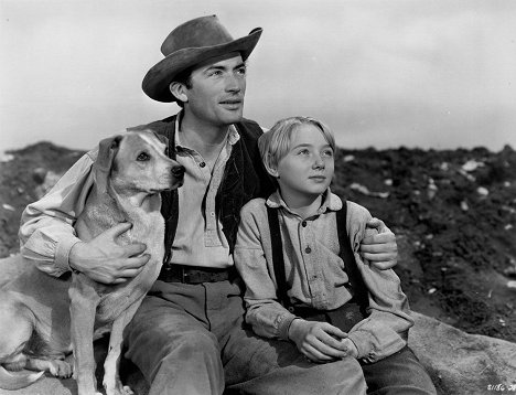 Gregory Peck, Claude Jarman Jr. - The Yearling - Photos