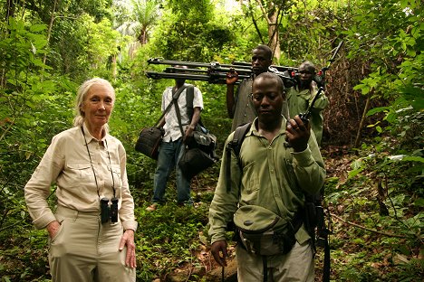 Jane Goodall - Cesta Jane Goodallovej - Z filmu