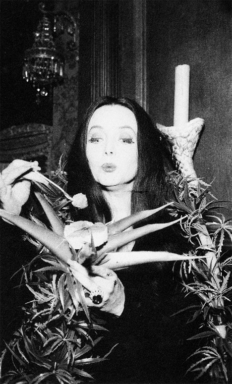 Carolyn Jones - The Addams Family - Photos