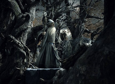 Ian McKellen - Hobbit: Pustkowie Smauga - Z filmu