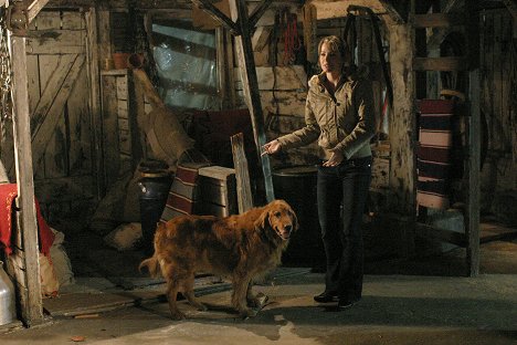 Erica Durance - Smallville - Psí kamarád - Z filmu