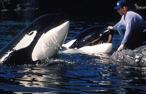 Orca Keiko, Jason James Richter - Free Willy 2 - Freiheit in Gefahr - Filmfotos