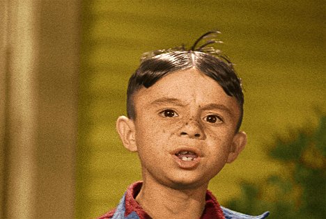 Carl 'Alfalfa' Switzer - The Little Rascals: Best of Spanky - Van film