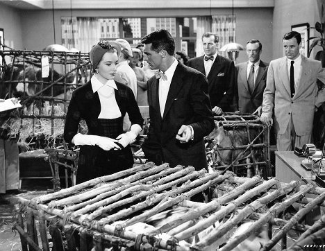 Deborah Kerr, Cary Grant - Dream Wife - Photos