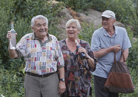 Ladislav Trojan, Jaroslava Obermaierová, Petr Kostka - Piknik - Photos