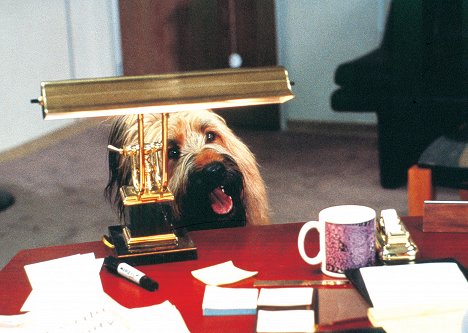 Betty - Top Dog - Film