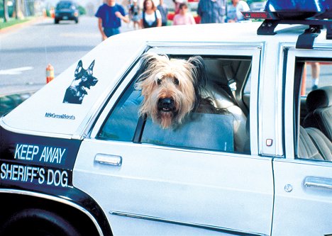 Betty - Top Dog, el perro sargento - De la película