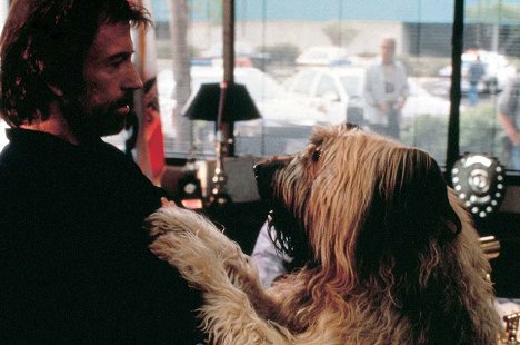 Chuck Norris, Betty - Top Dog, el perro sargento - De la película