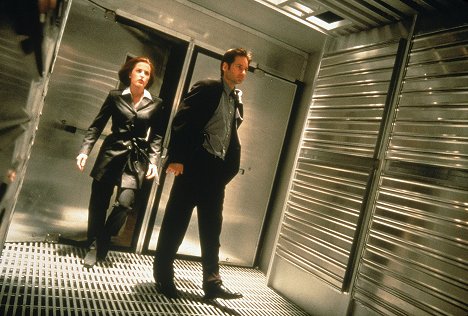 Gillian Anderson, David Duchovny - The X-Files - Photos