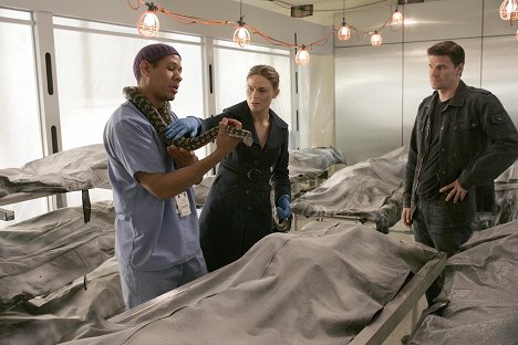 Scott Lawrence, Emily Deschanel, David Boreanaz - Bones - El hombre de la morgue - De la película