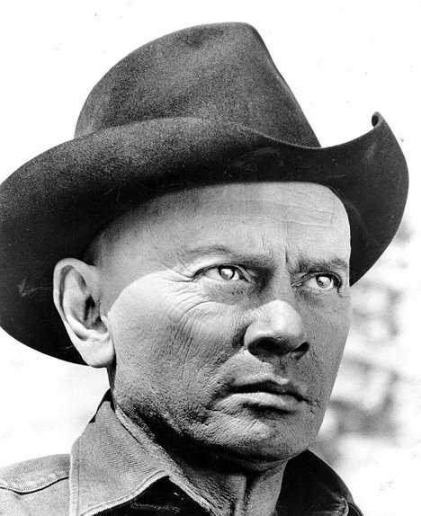 Yul Brynner - Westworld - Werbefoto