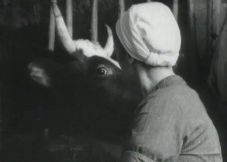 Aino Pekkanen - Aino Pekkanen - pienviljelijäemäntä - De la película