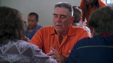 R. Lee Ermey - Saving Silverman - De filmes