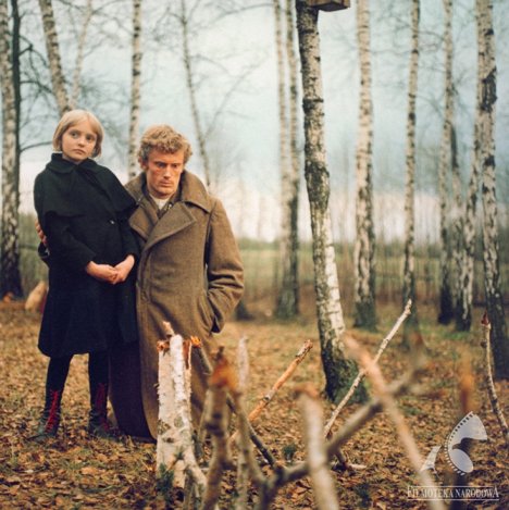 Elżbieta Żołek, Daniel Olbrychski - The Birch Wood - Photos