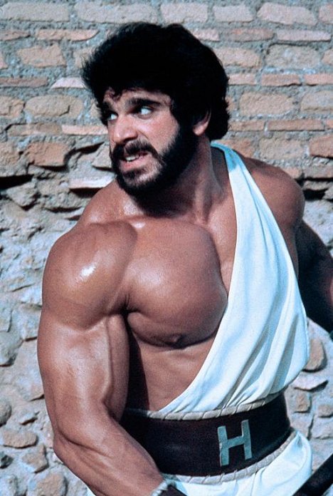 Lou Ferrigno - I sette magnifici gladiatori - Van film