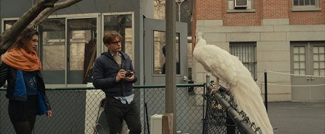 Àstrid Bergès-Frisbey, Michael Pitt - I Origins - De la película