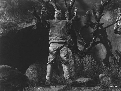 Lon Chaney Jr. - Frankensteinův duch - Z filmu
