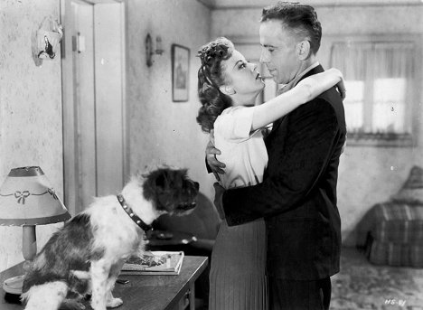 Zero The Dog, Ida Lupino, Humphrey Bogart - O Último Refúgio - Do filme