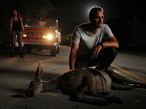 Daniel Sunjata - Graceland - Photos