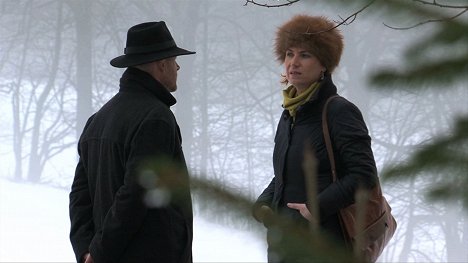 Libuše Rudinská - Pavel Wonka se zavazuje - Van film