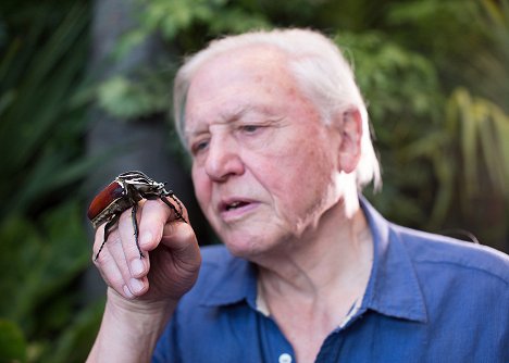 David Attenborough - Parányi szörnyek - Filmfotók