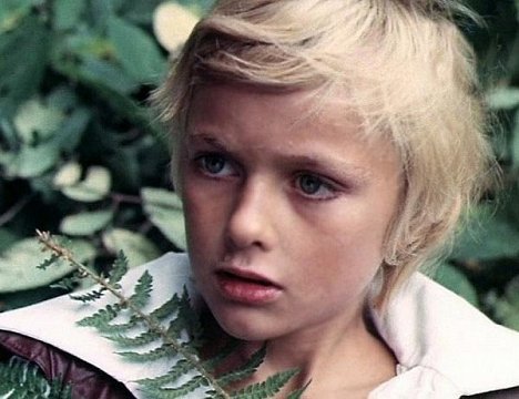 Pavel Chernyshev - Skazka o Zvjozdnom malčike - Van film