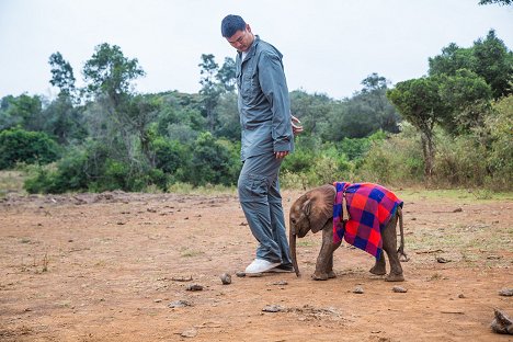 Yao Ming - Saving Africa's Giants with Yao Ming - Van film
