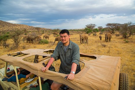 Yao Ming - Yao Ming zachraňuje africké obry - Z filmu