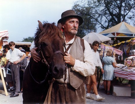 Zdeněk Řehoř - Divoký koník Ryn - Film