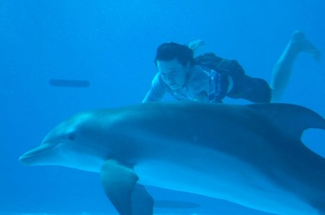 Nathan Gamble - Delfines kaland - Filmfotók