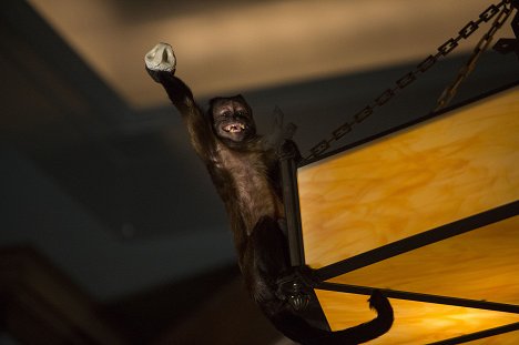 Crystal a majom - Éjszaka a múzeumban - A fáraó titka - Filmfotók