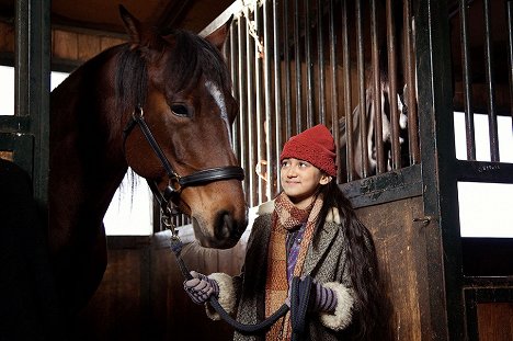 Nataša Paunović - Das Pferd auf dem Balkon - Van film