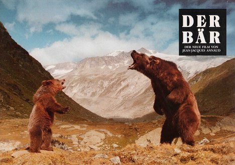o urso Youk, o urso Bart - O Urso - Cartões lobby