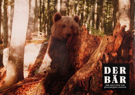 Youk the Bear - The Bear - Lobby Cards