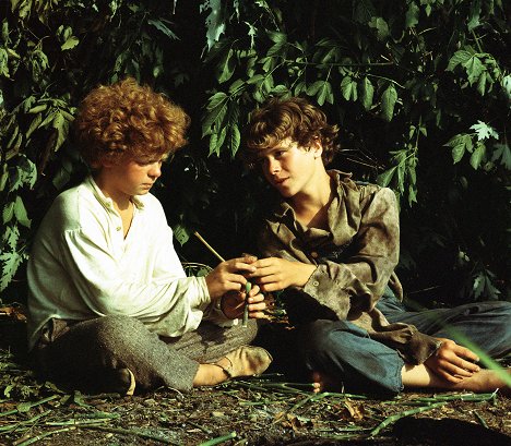 Johnny Whitaker, Jeff East - Las aventuras de Tom Sawyer - De la película