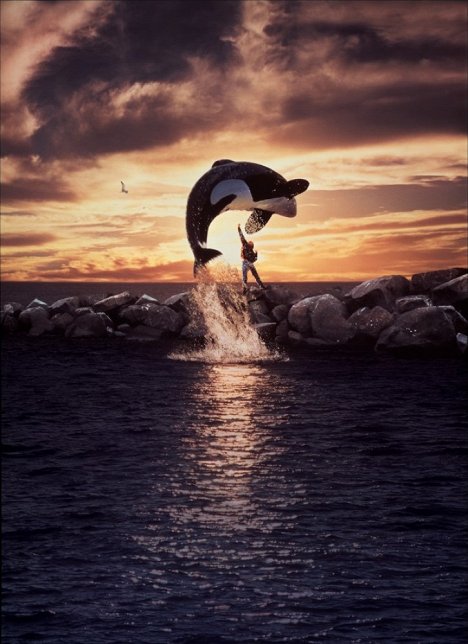 Keiko a kardszárnyú delfin - Szabadítsátok ki Willyt! - Filmfotók