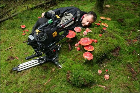 Jan Haft - Das Grüne Wunder - Unser Wald - Tournage