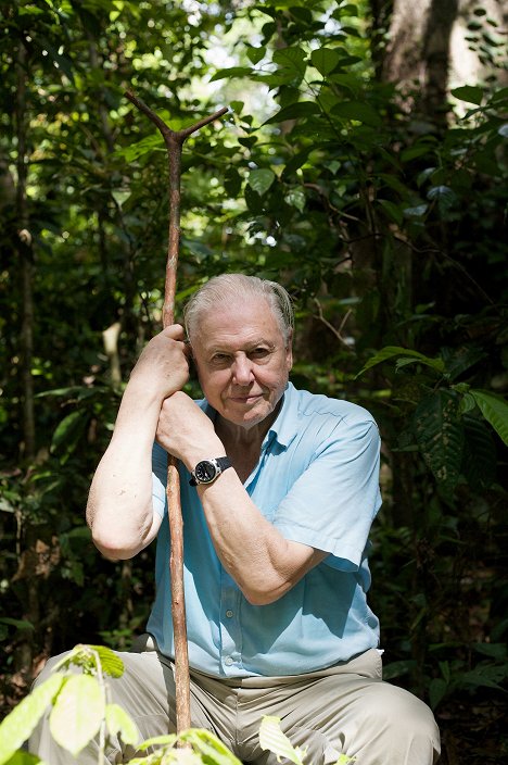 David Attenborough - Attenborough: 60 Years in the Wild - Z filmu