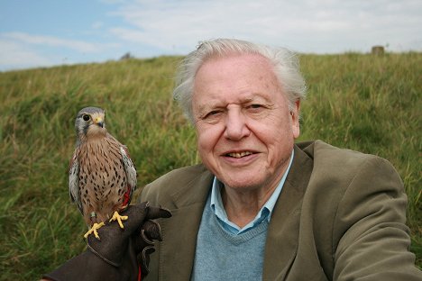 David Attenborough - Attenborough - 60 év a vadonban - Filmfotók