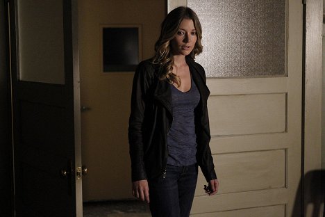 Sarah Roemer - The Event - Everything Will Change - Do filme