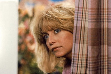 Goldie Hawn - Protocolo - De la película