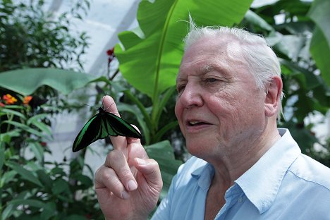 David Attenborough - The Natural World - Attenborough's Ark: Natural World Special - Z filmu