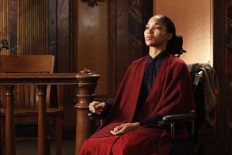 Lisa Arrindell - Law & Order: Special Victims Unit - Disabled - Van film