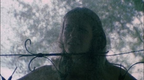 Teri McMinn - The Texas Chain Saw Massacre - Van film