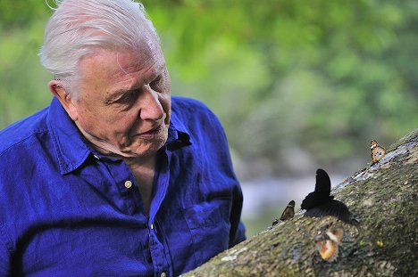 David Attenborough - Taivaan valloitus - Kuvat elokuvasta