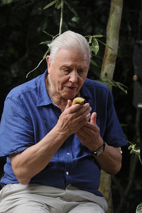 David Attenborough - David Attenborough: Život v oblacích - Z filmu